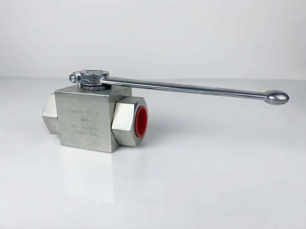 BKH-DN25-G1-112A-Zn