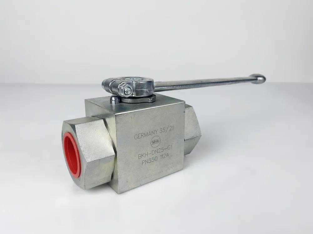 BKH-DN25-G1-112A-Zn