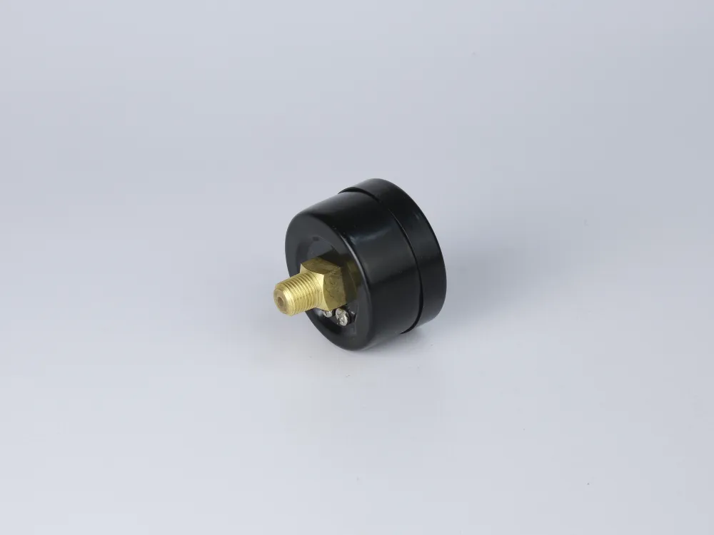 BVA14P01 