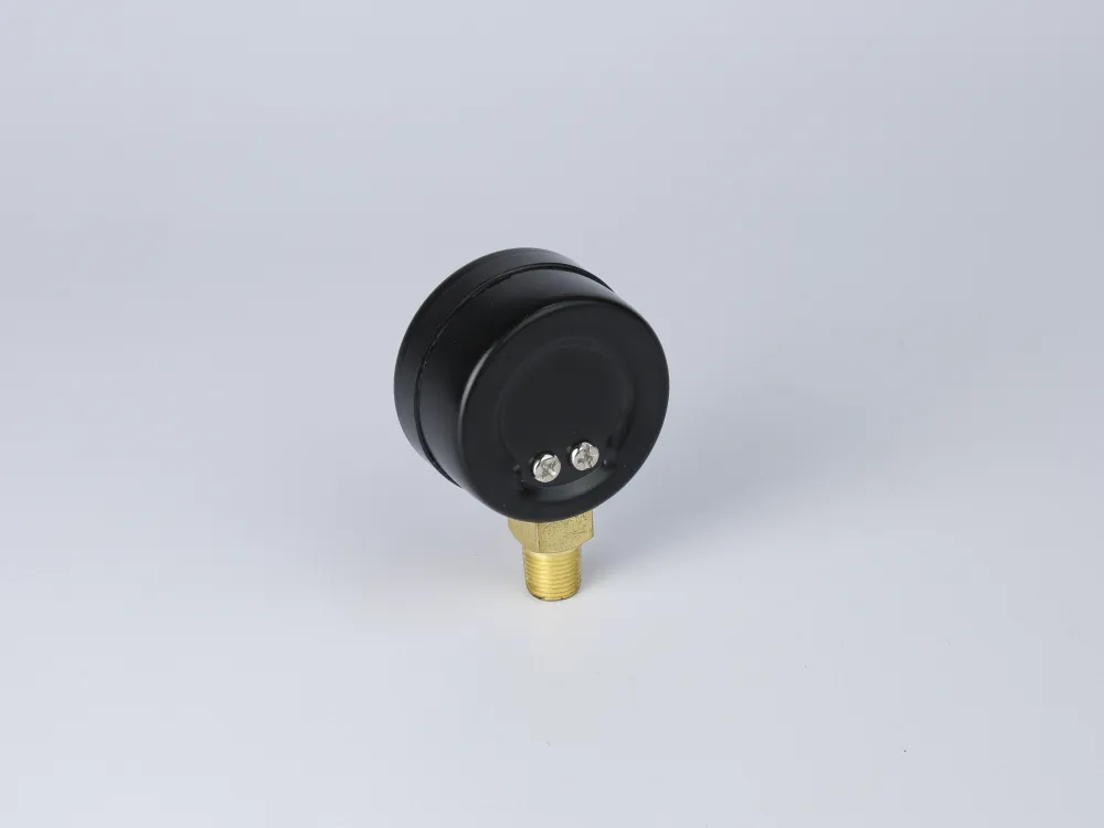 BVR14P01 