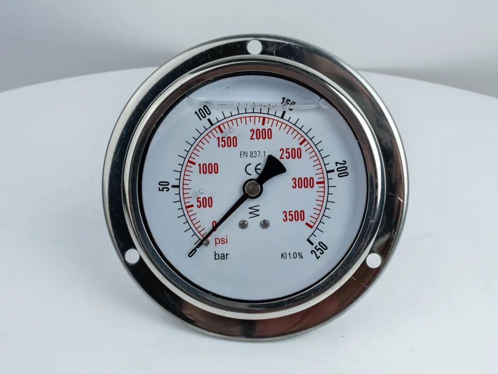 100F250.MGE GLYC.P.G.SS CASE D:100 0/250 BAR+PSI 1/2" BSPP BACK+FLANGE