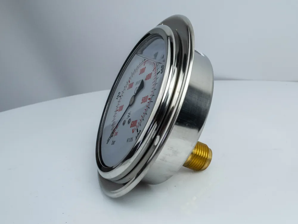 100F400.MGE GLYC.P.G.SS CASE D:100 0/400 BAR+PSI 1/2" BSPP BACK+FLANGE