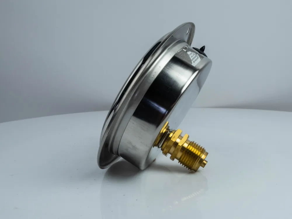 100F400.MGE GLYC.P.G.SS CASE D:100 0/400 BAR+PSI 1/2" BSPP BACK+FLANGE