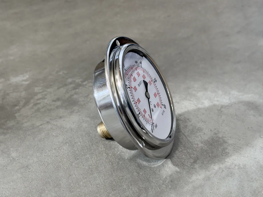 100F60.MGE GLYC.P.G.SS CASE D:100 0/60 BAR+PSI 1/2" BSPP BACK+FLANGE