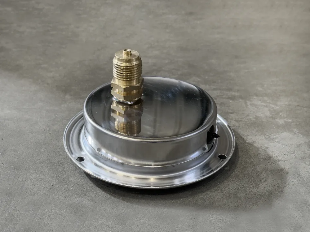 100F60.MGE GLYC.P.G.SS CASE D:100 0/60 BAR+PSI 1/2" BSPP BACK+FLANGE