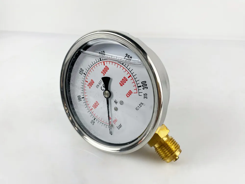100R315.MGE GLYC.P.G.SS. CASE D:100 0/400 BAR+PSI 1/2"BSPP BOTTOM