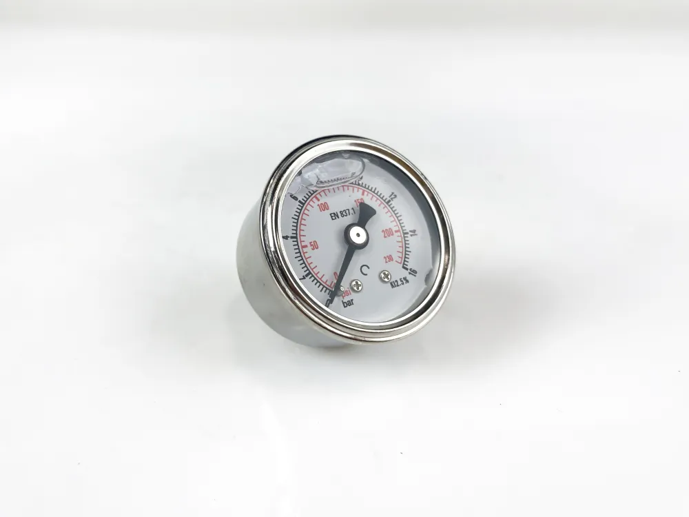 40P16.MGE GLYC.P.G.SS CASE D:40 0/16 BAR+PSI 1/8"BSPT BACK
