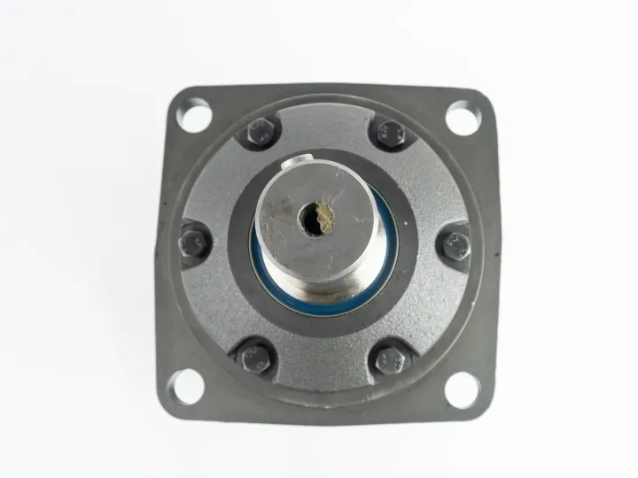 Купити Героторный гидромотор M+S Hydraulic МV 400C/4, фото 4