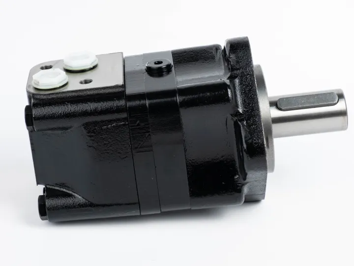 Купити Героторный гидромотор Mozioni BM3-80P10AY/T11, фото 4