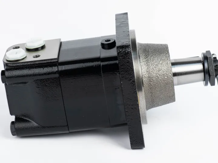 Купити Героторний гідромотор Mozioni BM3WY-315ZAY/T11, фото 3