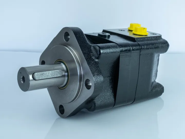 Купити Героторный гидромотор Mozioni BM3Y-500P10AY/T11, фото 5