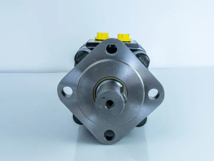 Купити Героторний гідромотор Mozioni BM3Y-200P10AY/T11, фото 4