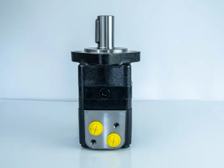 Купити Героторный гидромотор Mozioni BM3Y-125P10AY/T11, фото 1