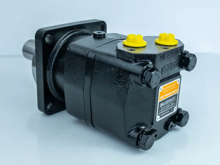 Купити Героторный гидромотор Mozioni BM4U-200P33A4Y/T7, фото 2
