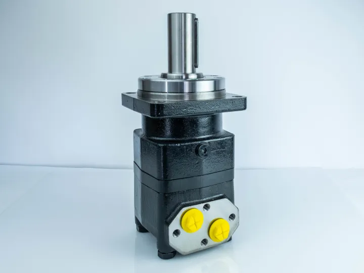 Купити Героторний гідромотор Mozioni BM4U-315P33A4Y/T7, фото 4