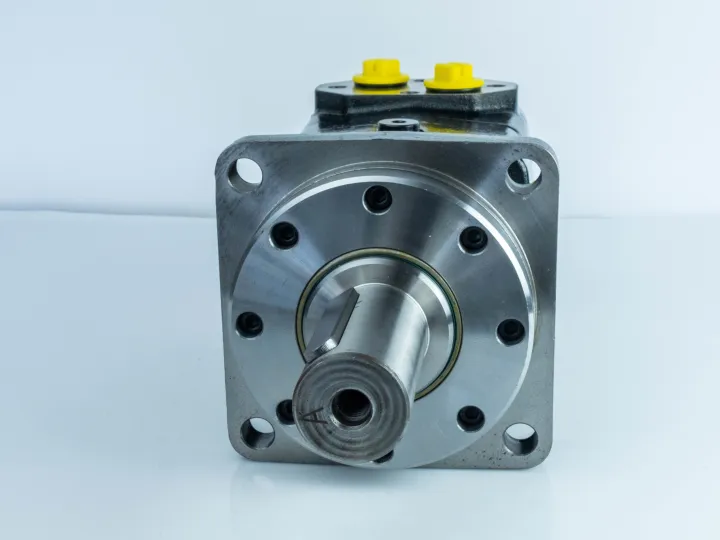 Купити Героторный гидромотор Mozioni BM4U-250P33A4Y/T7, фото 3