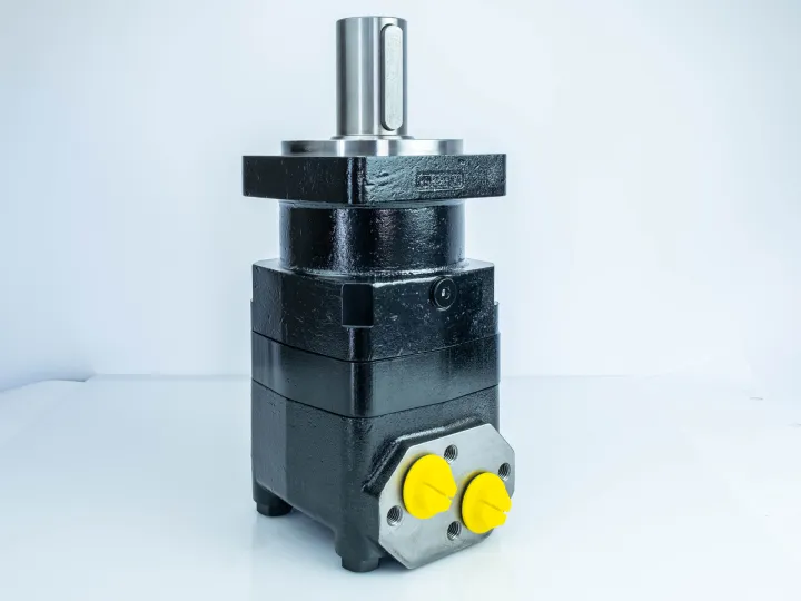 Купити Героторний гідромотор Mozioni BM5U-500PAY/T7, фото 1