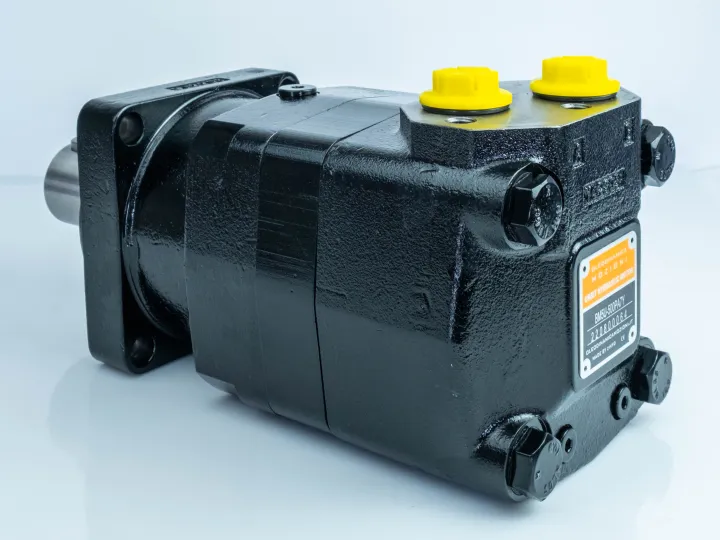 Купити Героторний гідромотор Mozioni BM5U-500PAY/T7, фото 2