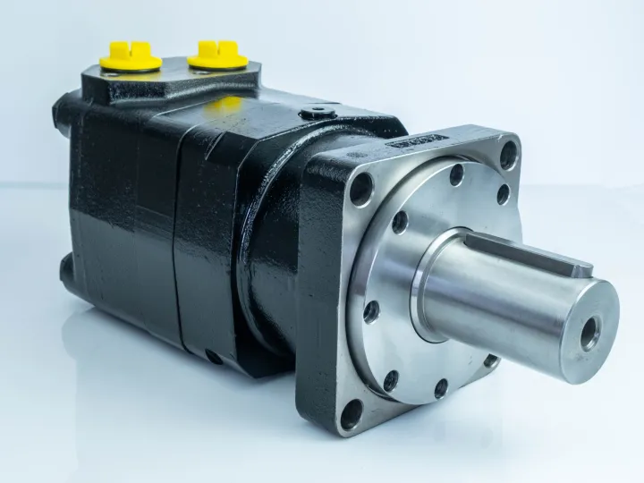 Купити Героторний гідромотор Mozioni BM5U-500PAY/T7, фото 3