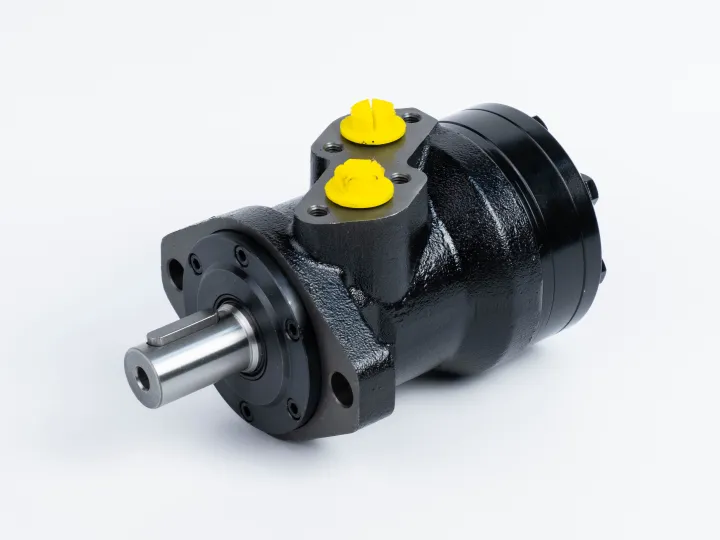 Купити Героторний гідромотор Mozioni BMR-125P41AIIY10/T10, фото 1