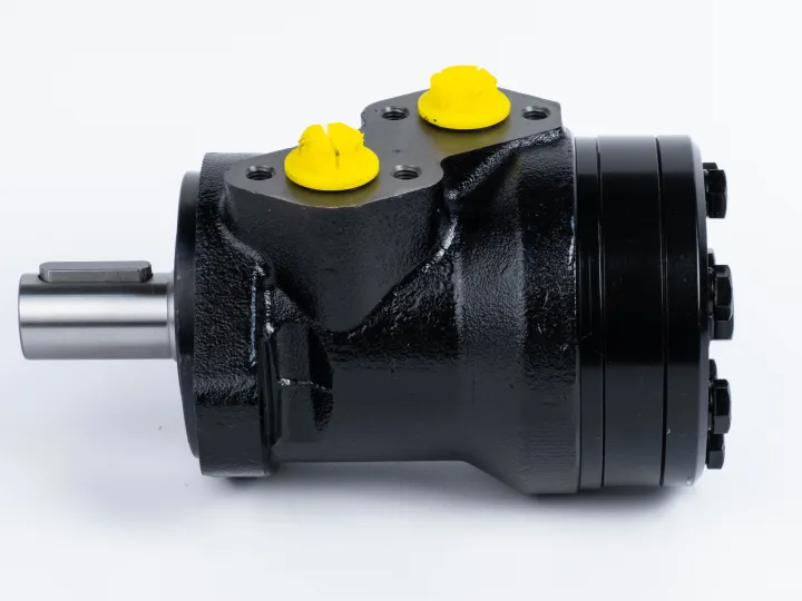 Купити Героторний гідромотор Mozioni BMR-125P41AIIY10/T10, фото 5