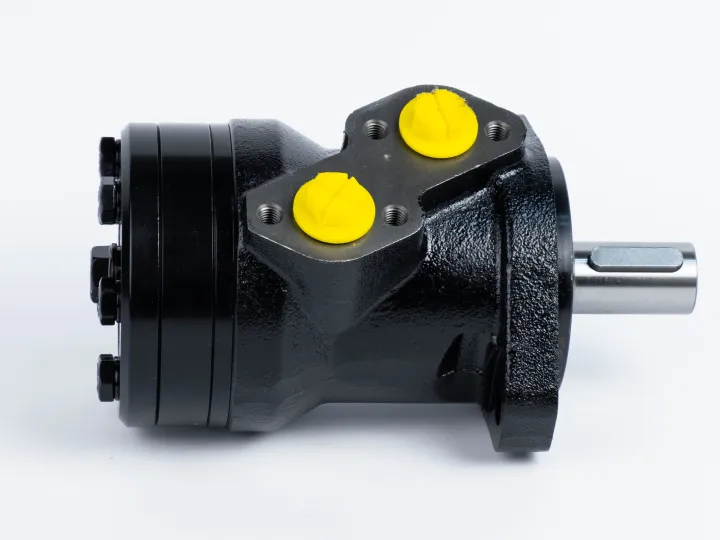 Купити Героторний гідромотор Mozioni BMR-125P41AIIY10/T10, фото 2