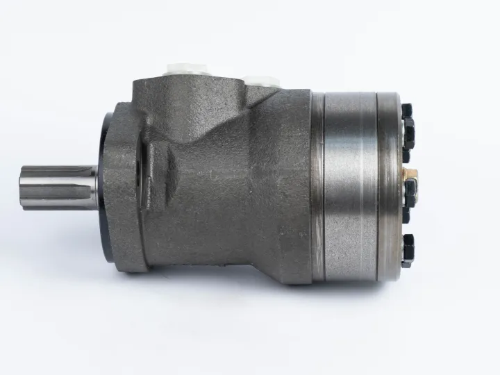 Купити Героторний гідромотор Mozioni BMR-160H2AIIY10/T7, фото 4