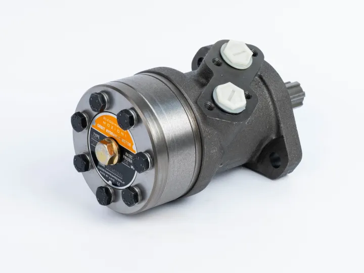 Купити Героторний гідромотор Mozioni BMR-160H2AIIY10/T7, фото 2