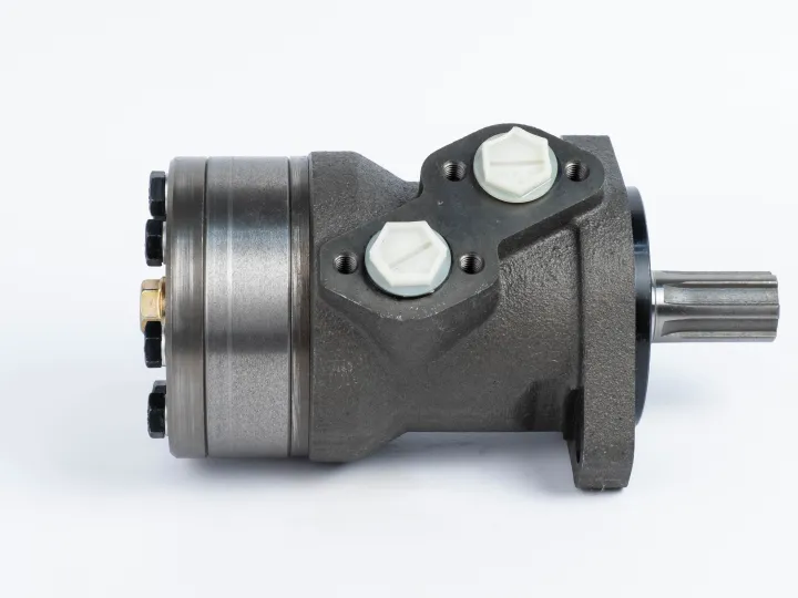 Купити Героторний гідромотор Mozioni BMR-160H2AIIY10/T7, фото 5