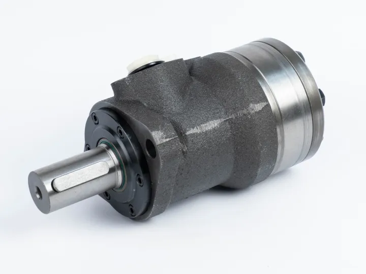 Купити Героторный гидромотор Mozioni BMR-160P52AIIY10/T10, фото 1