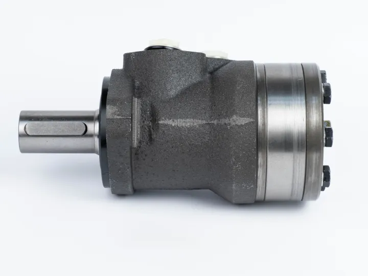 Купити Героторный гидромотор Mozioni BMR-160P52AIIY10/T10, фото 5