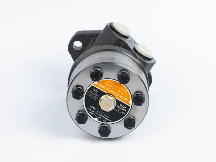 Купити Героторный гидромотор Mozioni BMR-160P52AIIY10/T10, фото 4