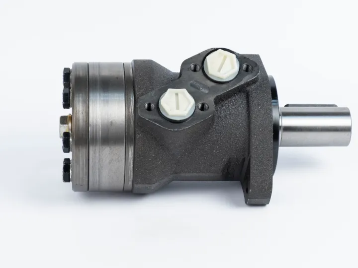 Купити Героторный гидромотор Mozioni BMR-160P52AIIY10/T10, фото 2