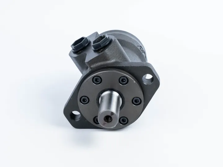 Купити Героторный гидромотор M+S Hydraulic MP 100 CD/4, фото 2