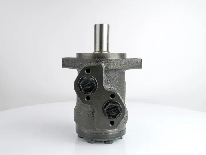 Купити Героторний гідромотор M+S Hydraulic MP25CDRS/4-SH M12-L5, фото 3