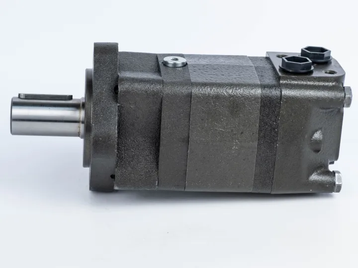 Купити Героторный гидромотор M+S Hydraulic МS 100С/4, фото 4