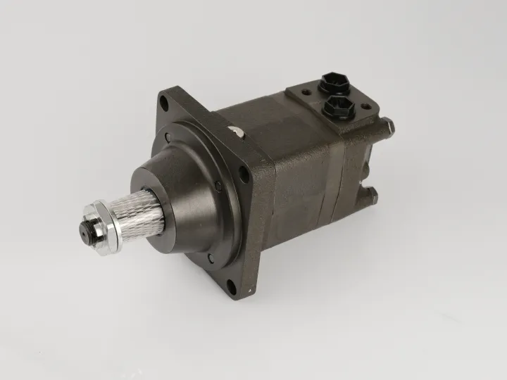 Купити Героторный гидромотор M+S Hydraulic MSW250K/4, фото 1