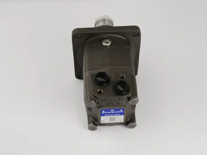 Купити Героторный гидромотор M+S Hydraulic MSW250K/4, фото 3