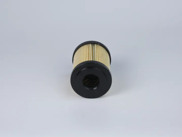 8MF1001A10HBP01