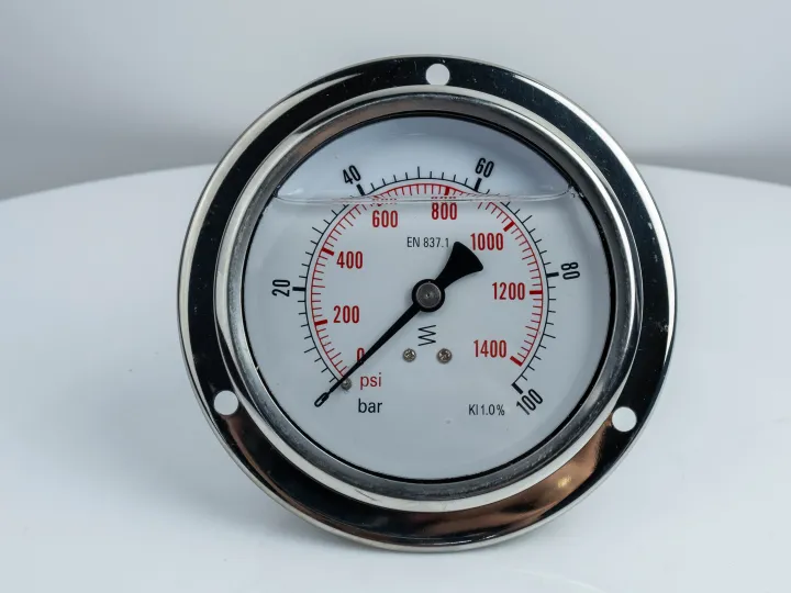100F160.MGE GLYC.P.G.SS CASE D:100 0/160 BAR+PSI 1/2" BSPP BACK+FLANGE