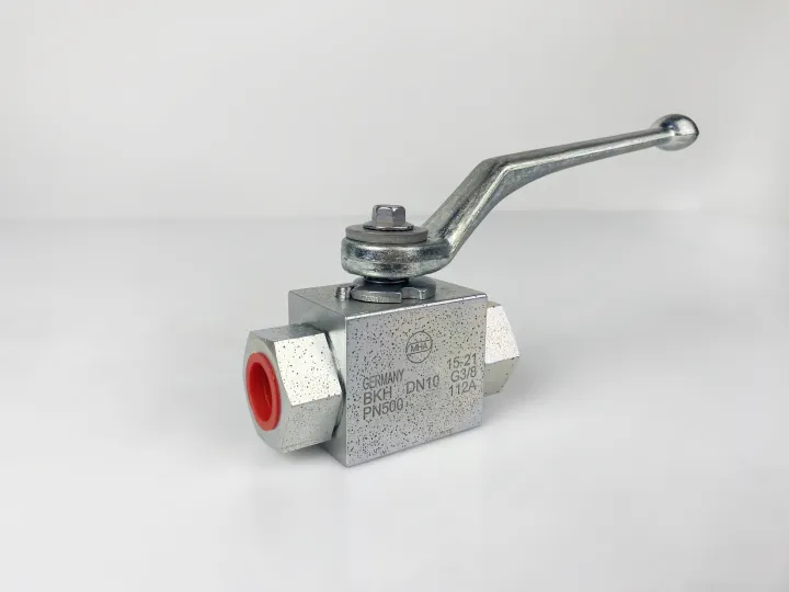 BKH-DN10-12L-112A-Zn