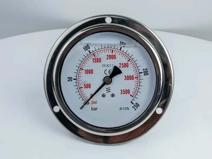 100F250.MGE GLYC.P.G.SS CASE D:100 0/250 BAR+PSI 1/2" BSPP BACK+FLANGE