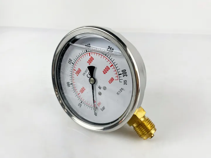 100R315.MGE GLYC.P.G.SS. CASE D:100 0/400 BAR+PSI 1/2"BSPP BOTTOM