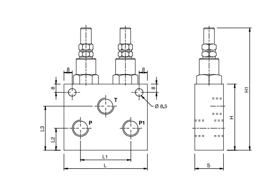 VMPD 1/2" 50-250 BAR