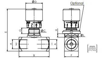 STBF 100
